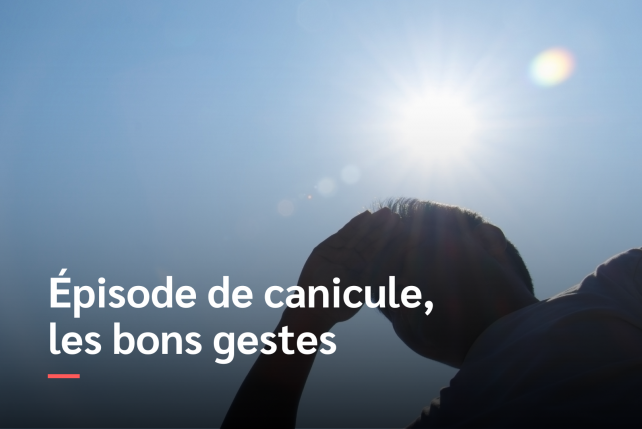 Episode de canicule, suivez les recommandations